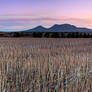 Stirling Ranges Farm