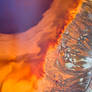 Thermal