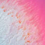 Kalbarri Salt Lake Western Australia