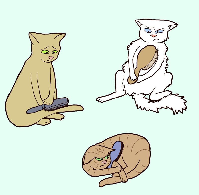Cats with brushes by sqbr