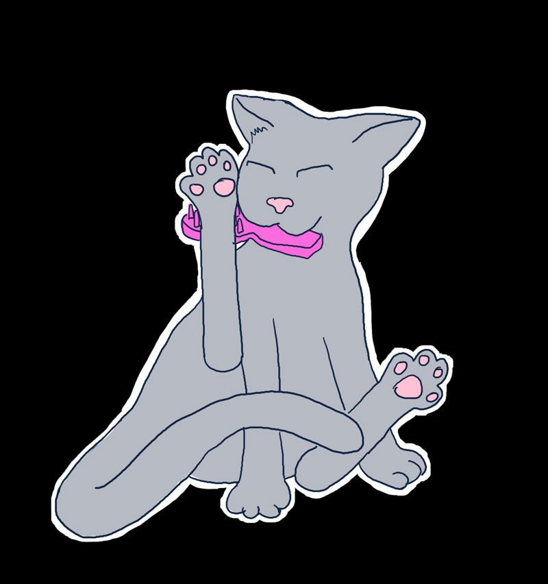 Cat with Hair Brush: Take Two by sqbr