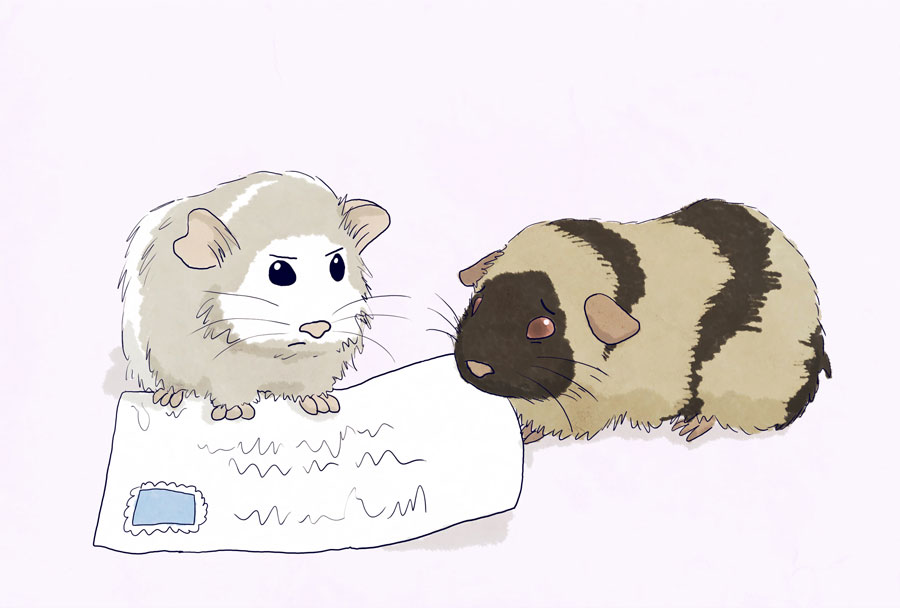 Homestuck: Guinea Pigs