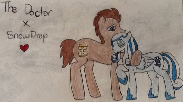 Doctor Whooves And Snowdrop