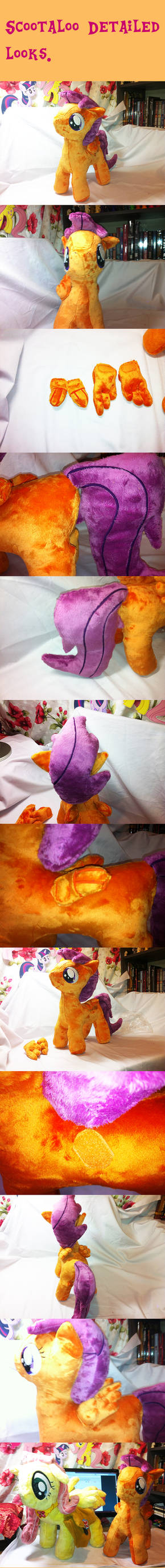 More Detailed looks of Scootaloo