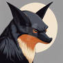 Bat