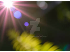 Lens flare