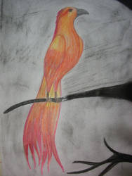 Mother Phoenix