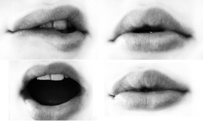 lips reference