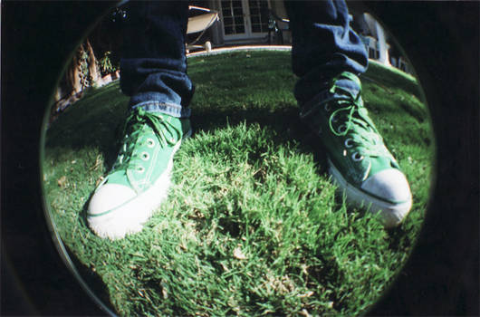 Fisheye: Green