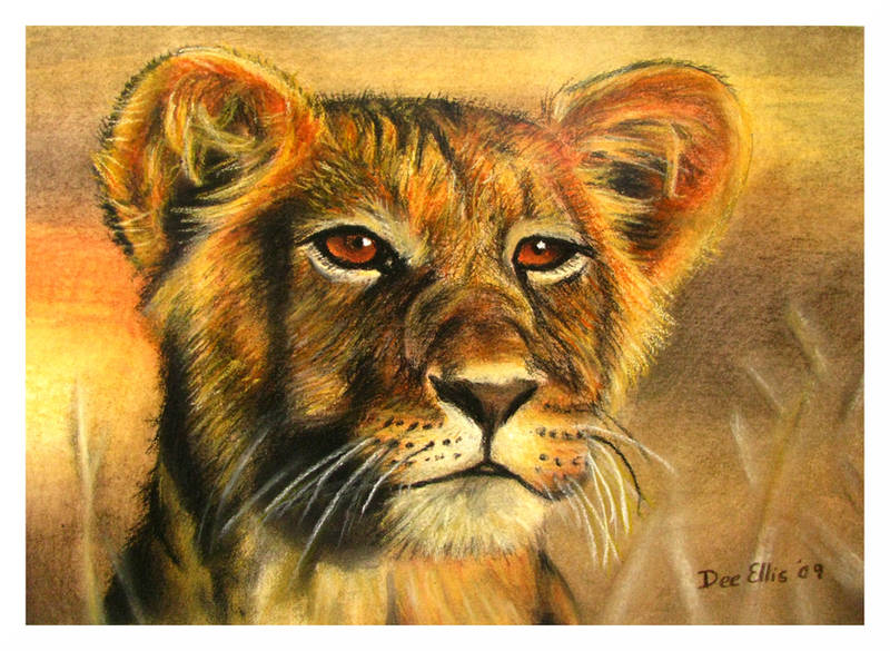 Simba by Devil-Wolf-1999
