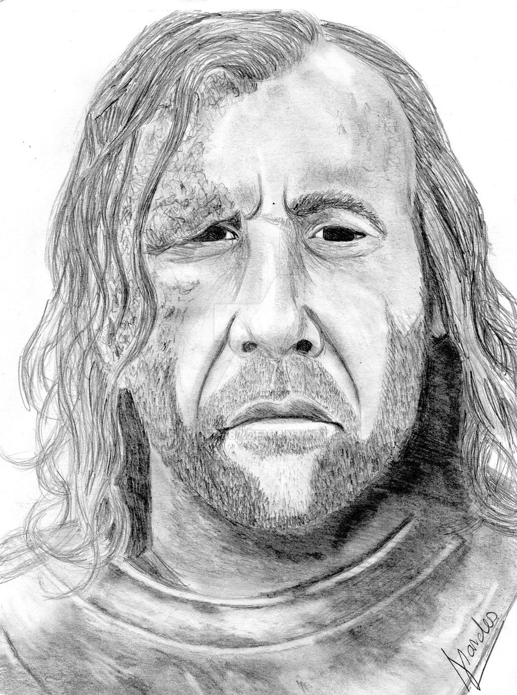 The Hound/sandor clegane/Rory McCann