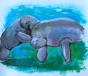 Mother Manatee's Love