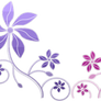 flowers-png