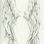 Angel Wings