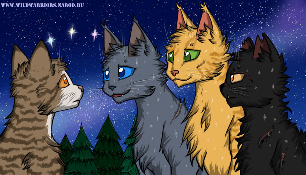 Warriors: Leafpool's Wish. Chapter 1