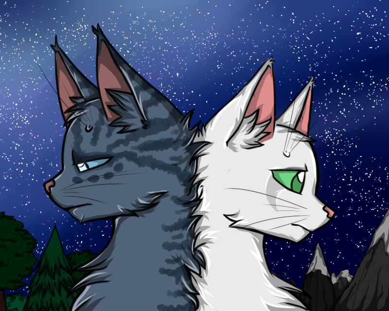 WarriorCatsFanClub DeviantArt