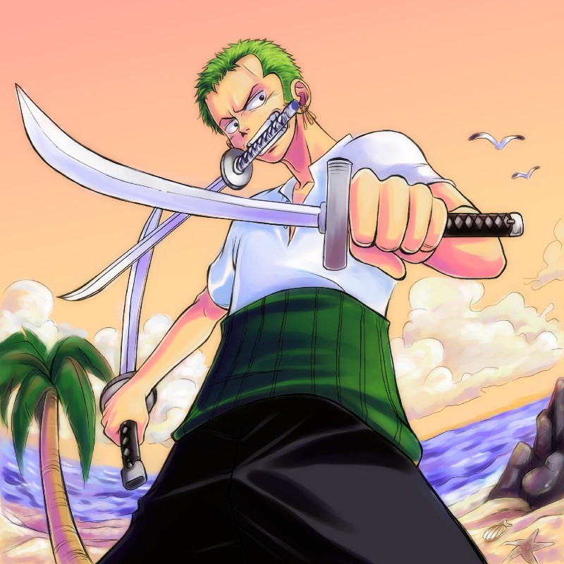 Zoro podre