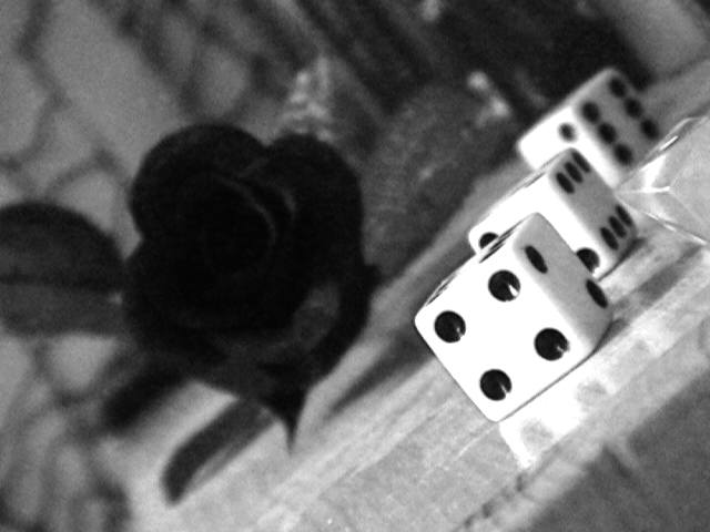 Rose + Dice in Black and White