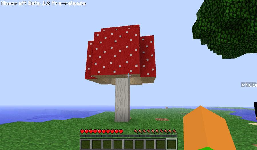 Minecraft Screenshot 74