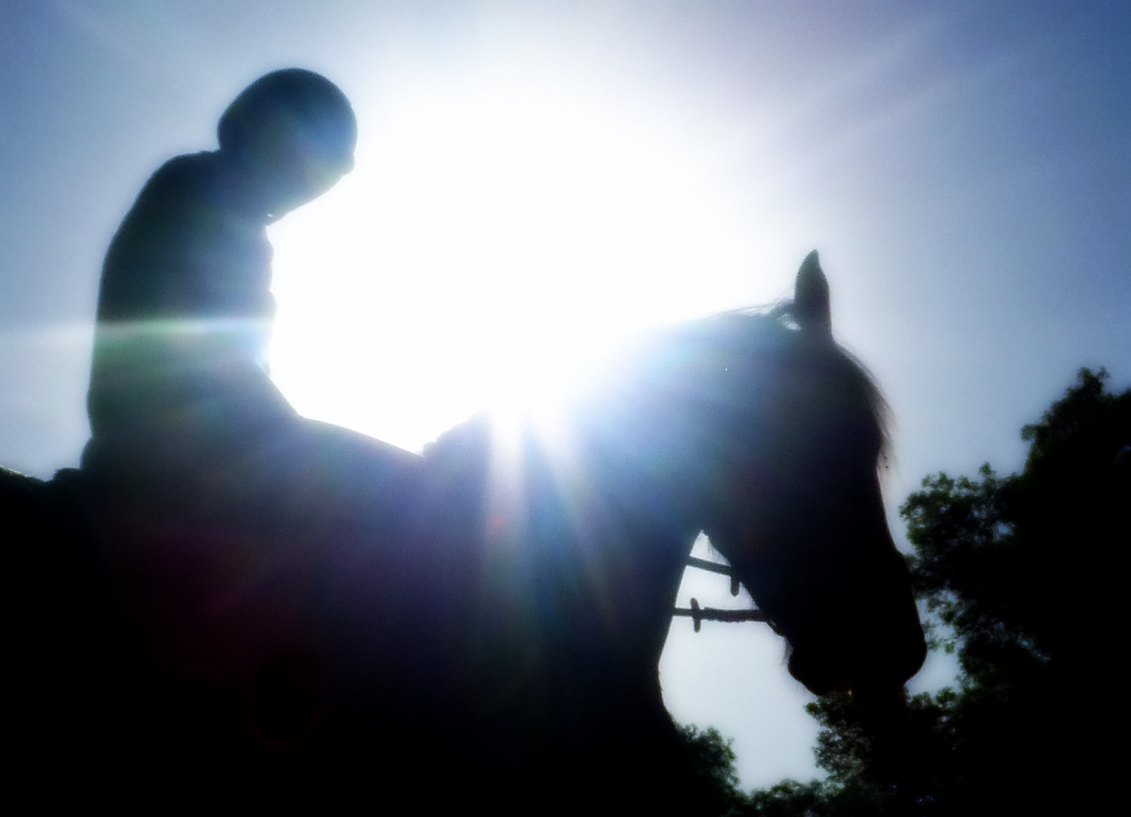 The Shadow Rider by Dreameuse13 on DeviantArt