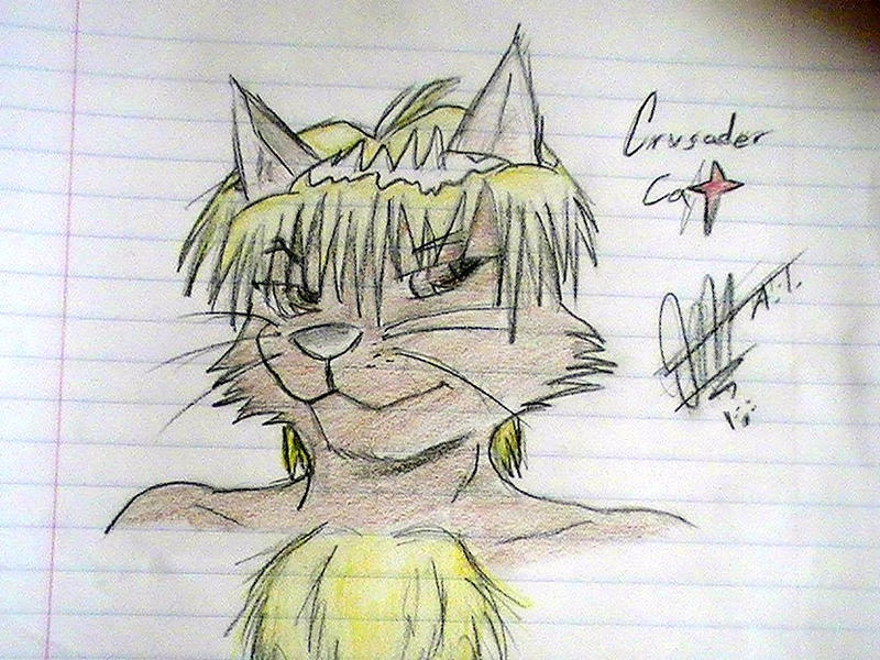 Crusader Cat by Arc-Thunder on DeviantArt