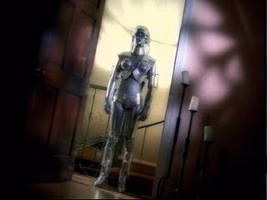 ROBOT WOMAN