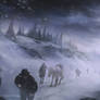 Through the Storm