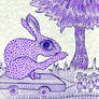 Purple rabbit