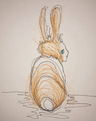 Ginger rabbit