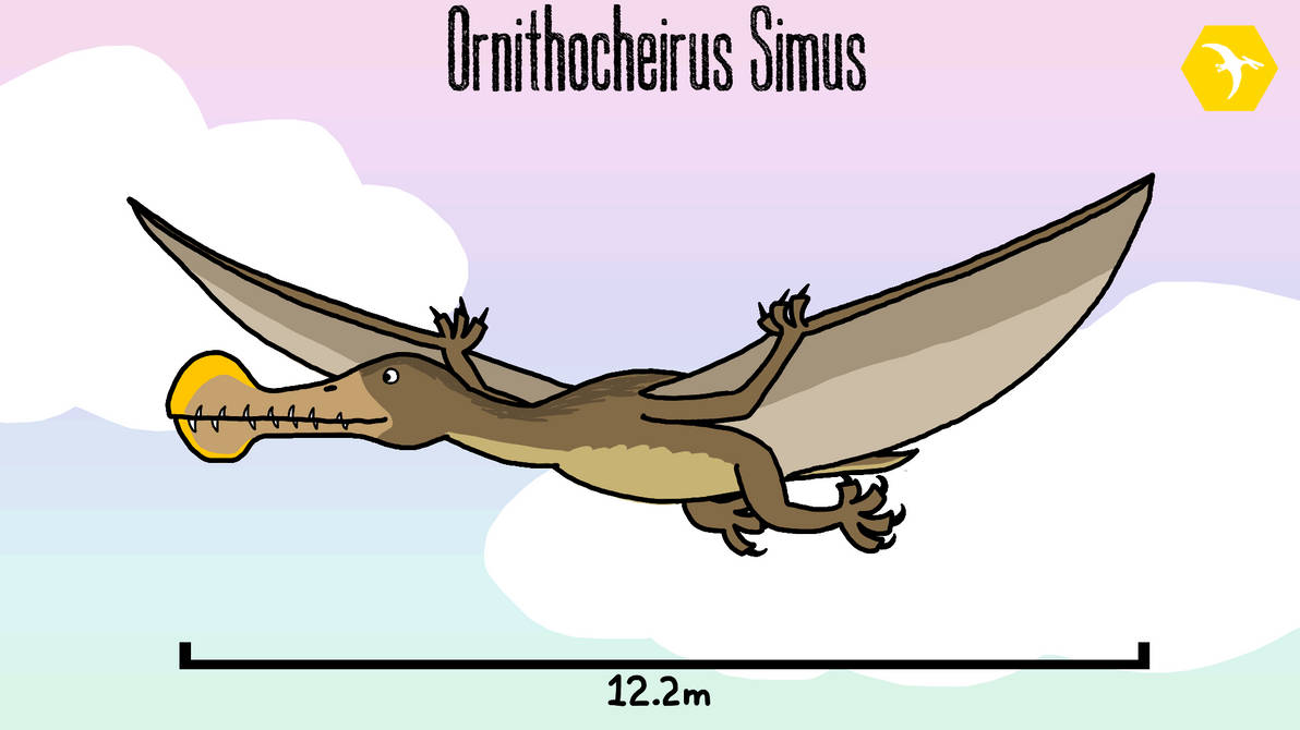 Ornithocheirus Simus by Heterodontosaurus on DeviantArt