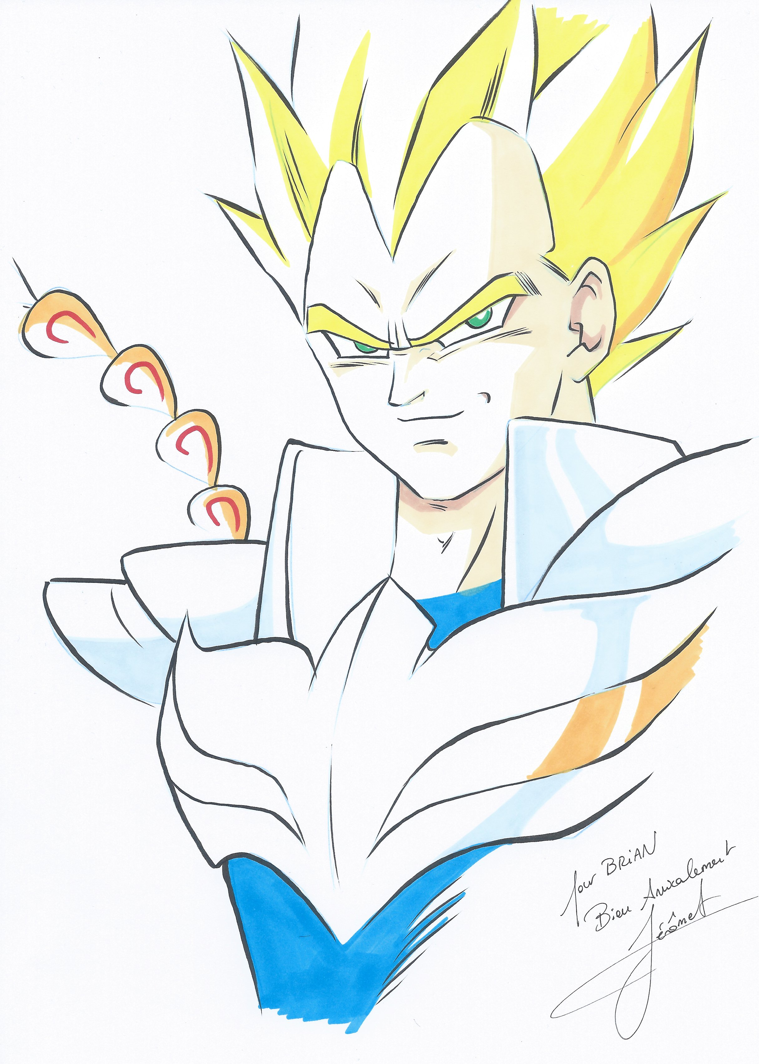 Vegeta du Phenix By Jerome Alquie