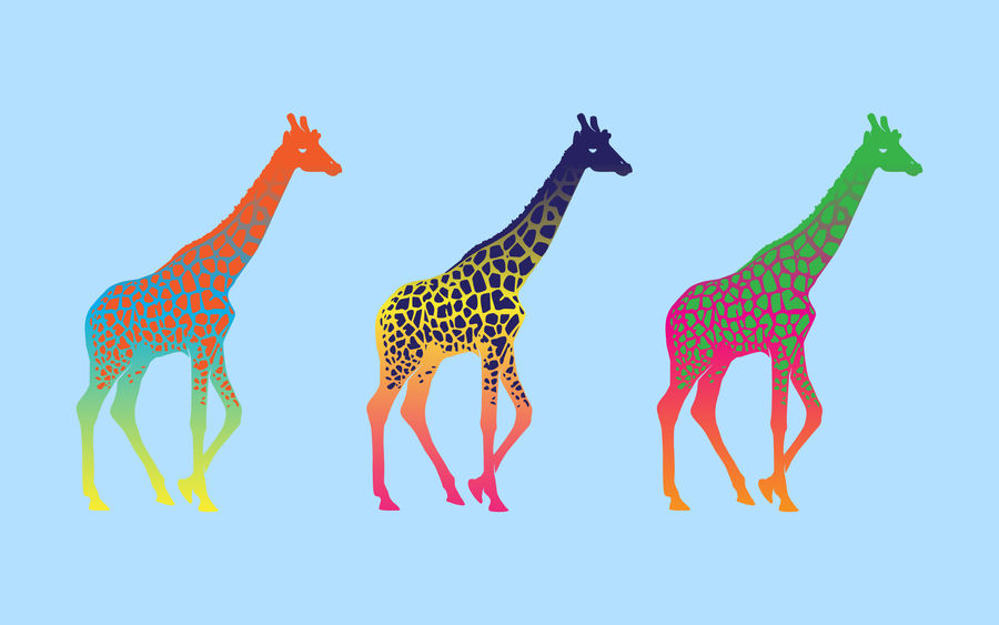 Giraffeography