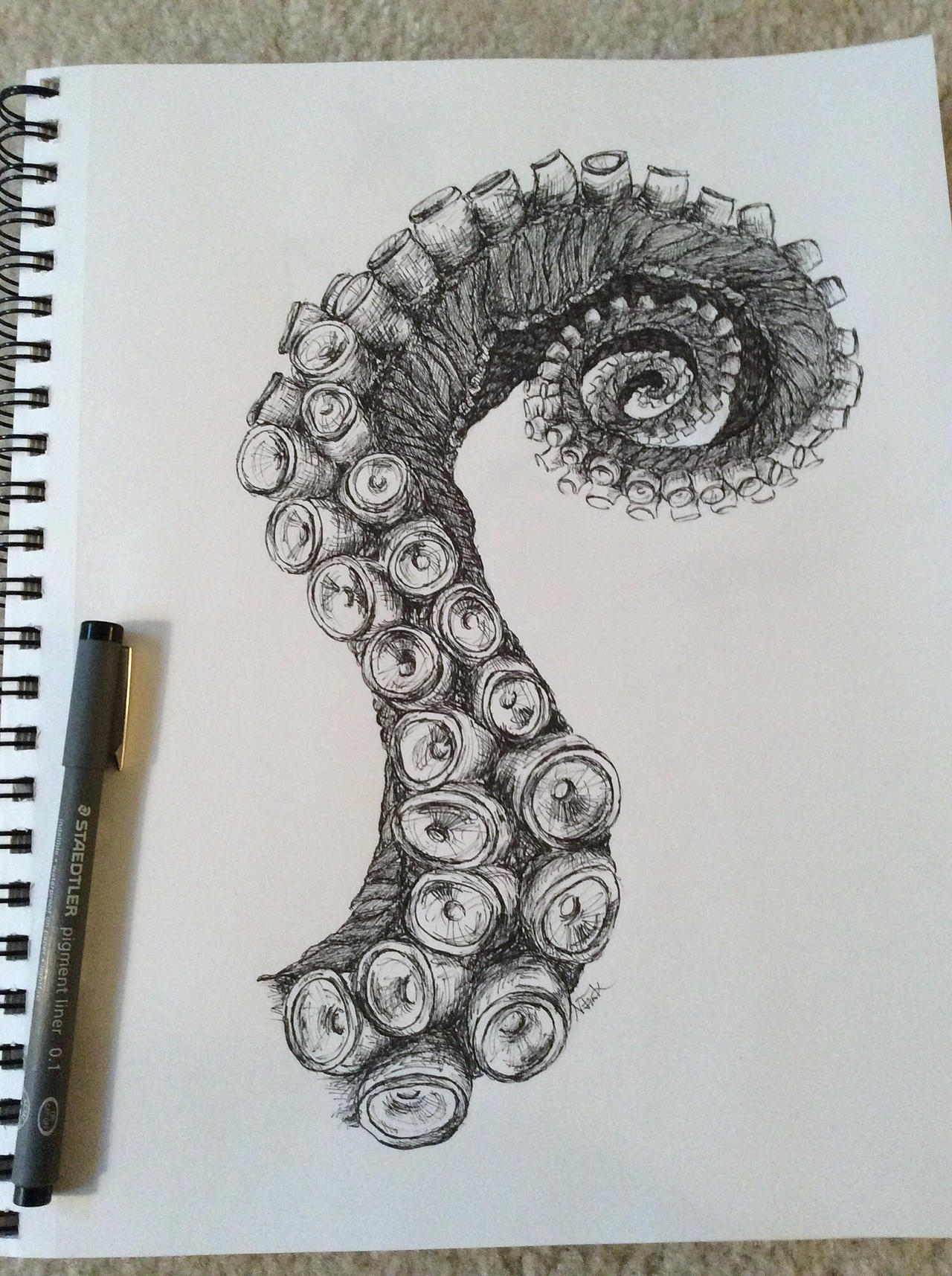 Octopus Tentacle by Ismey-the-Nimble on DeviantArt