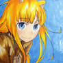 Holo- Spice and Wolf