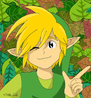 Toon Link