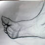 Foot Study