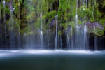 Tropical Bliss by StevenDavisPhoto