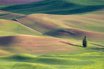 Serene by StevenDavisPhoto