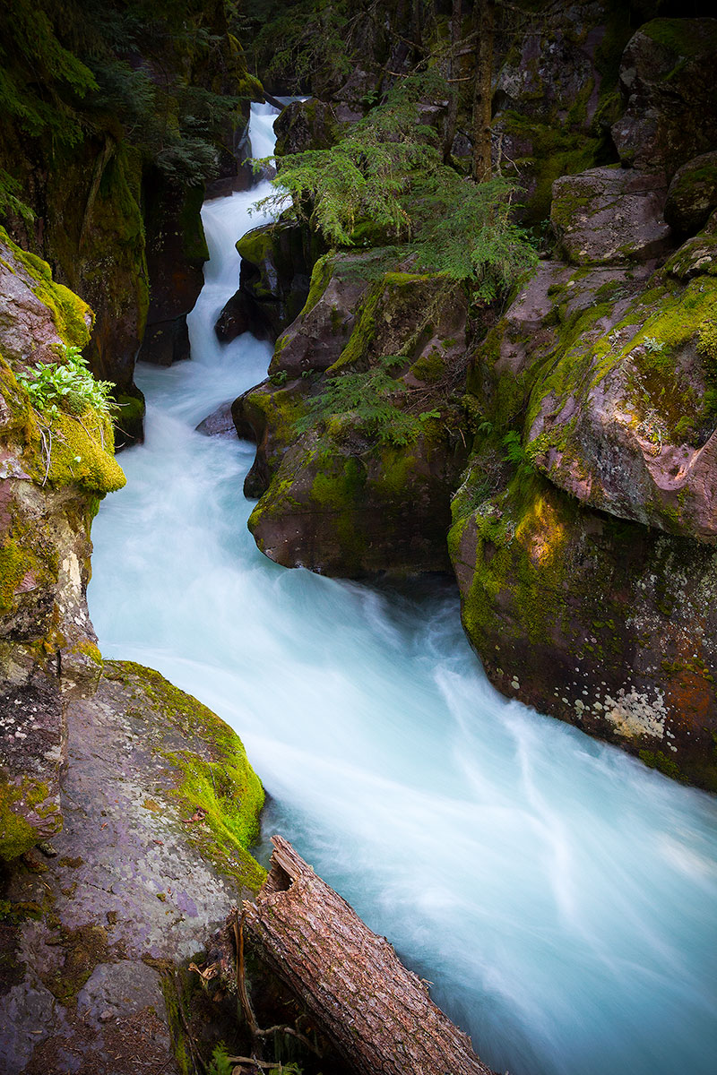 Avalanche Creek