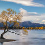 Lake Wanaka Evening