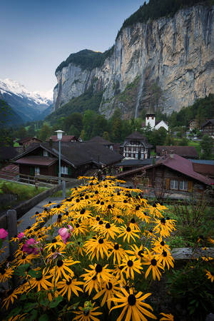 Lauterbrunnen, Switzerland by StevenDavisPhoto