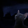 Cinderpelt