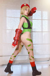 cammy whyte - street fighter