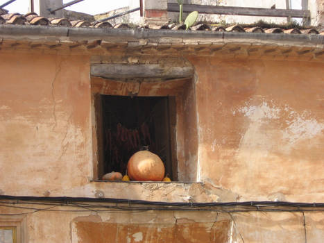 Ventana, gato y calabaza