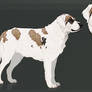 Adopt reference sheet