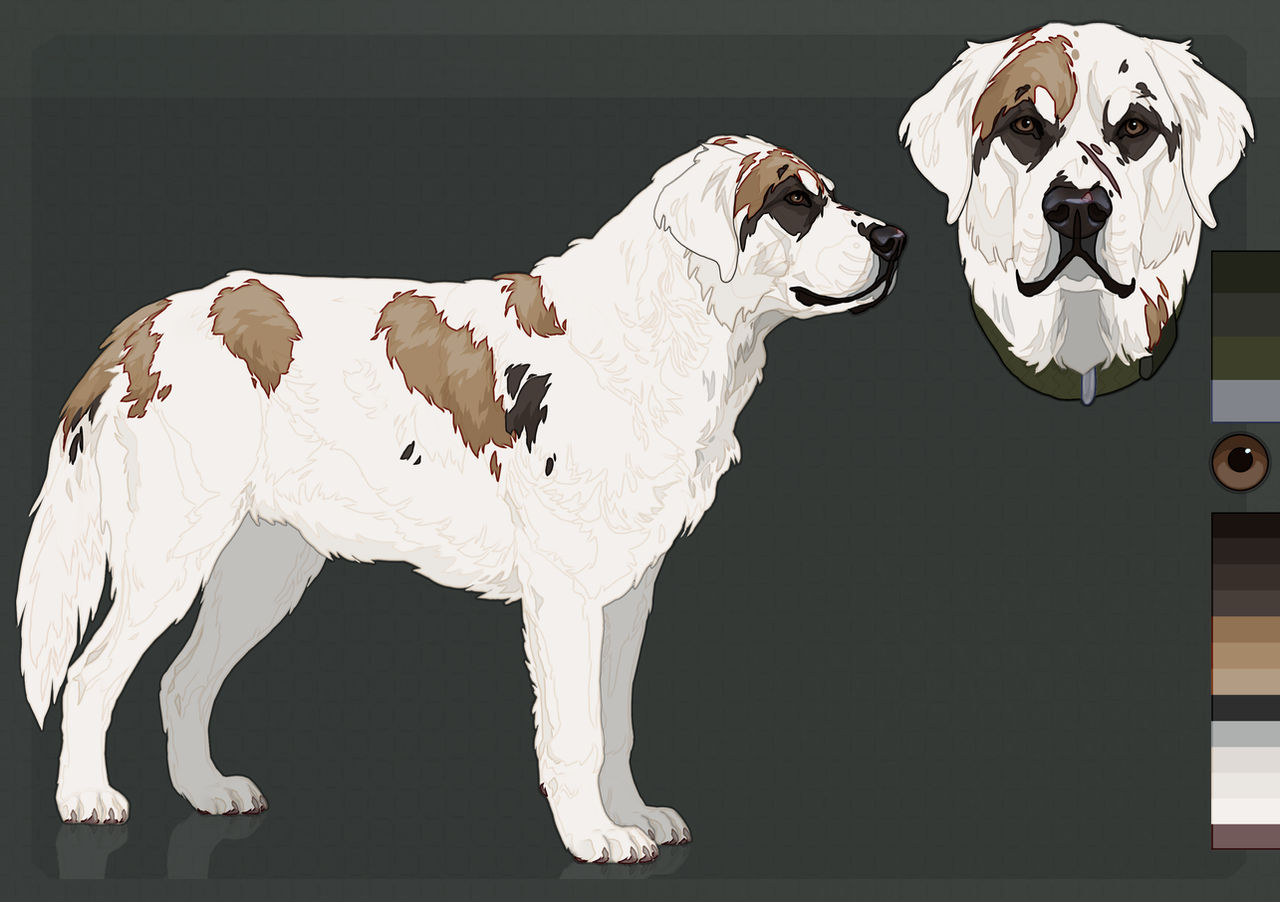 Adopt reference sheet by JustDarik on DeviantArt