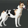 Adopt reference sheet