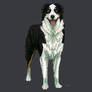 Dog commission