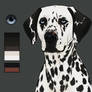 Custom design