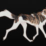 Last Wolf Left - Adopt Auction